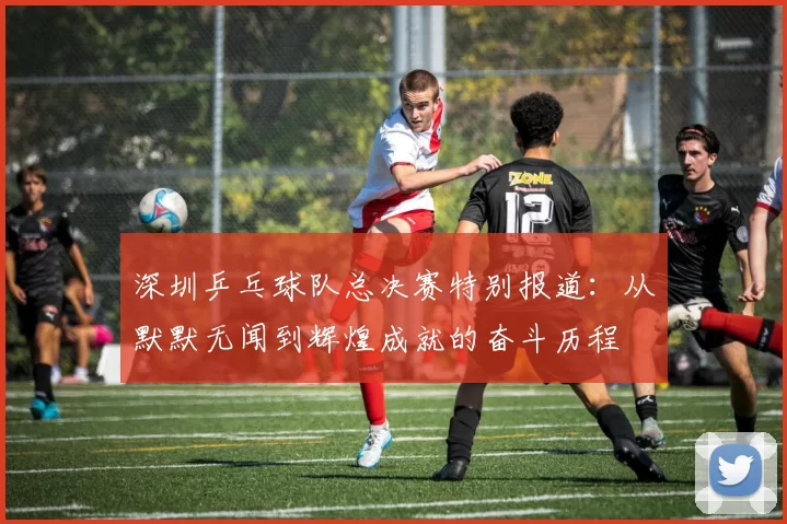 深圳乒乓球队总决赛特别报道：从默默无闻到辉煌成就的奋斗历程