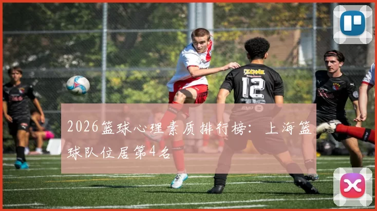 2026篮球心理素质排行榜：上海篮球队位居第4名