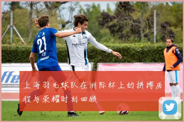 上海羽毛球队在洲际杯上的拼搏历程与荣耀时刻回顾