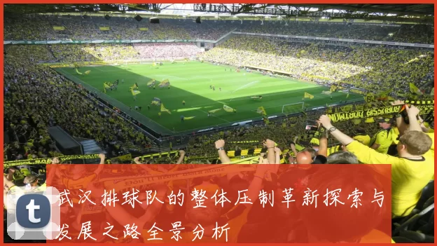 武汉排球队的整体压制革新探索与发展之路全景分析