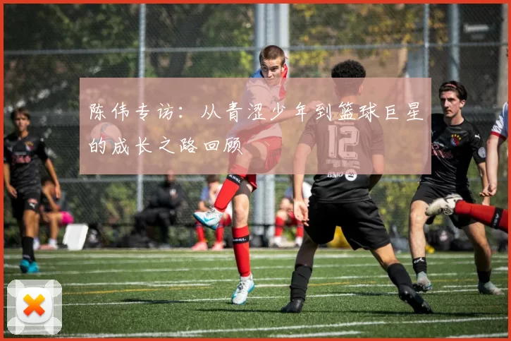 陈伟专访：从青涩少年到篮球巨星的成长之路回顾