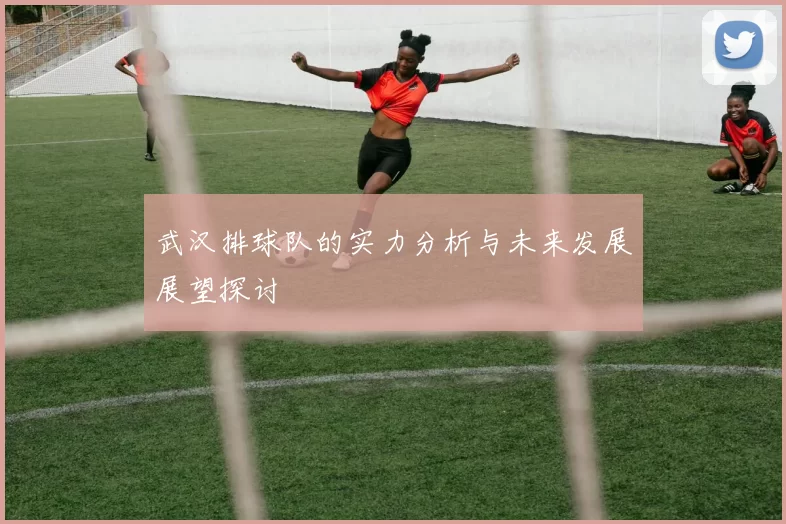 武汉排球队的实力分析与未来发展展望探讨