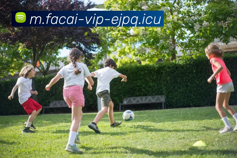 乐鱼体育APP 封面图